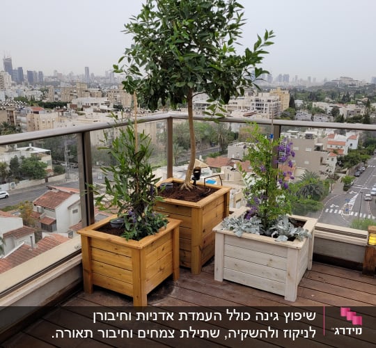 עציצים מעץ עם צמחים על מרפסת עץ